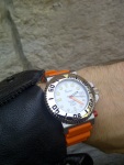 Squale Tiger